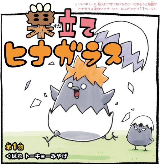 ハイキュー！！巣立てヒナガラスアイキャッチ